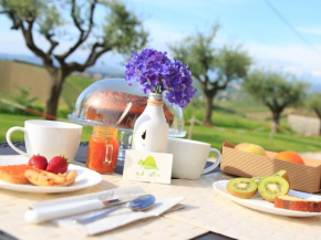 Гостиница B&B Verdi Colline  Контрогуерра